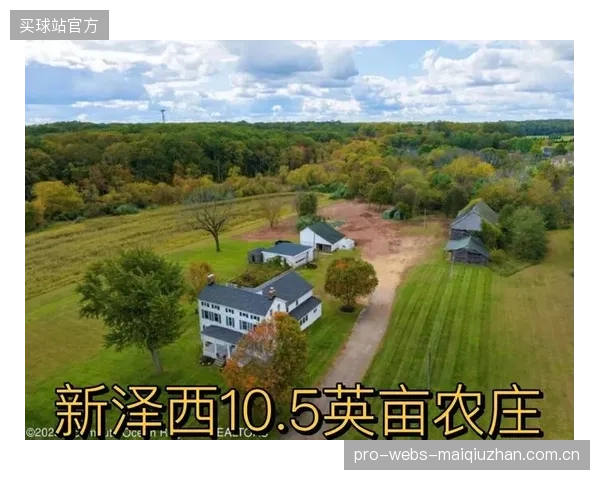 决赛落户新泽西，预计将为整个赛事周期带来数十亿美元的综合经济效益。